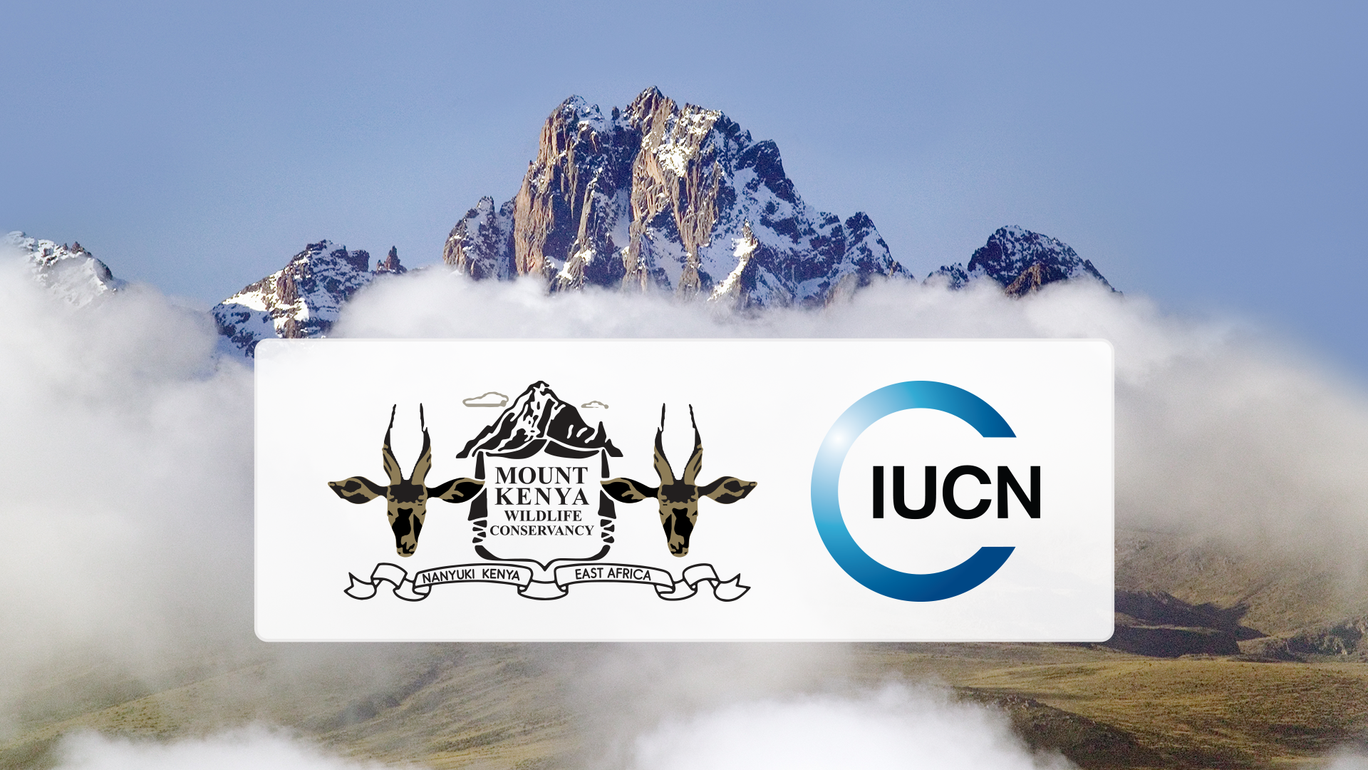 Mount Kenya Wildlife Conservancy (MKWC) Joins Global conservation body, the International Union for Conservation of Nature (IUCN)