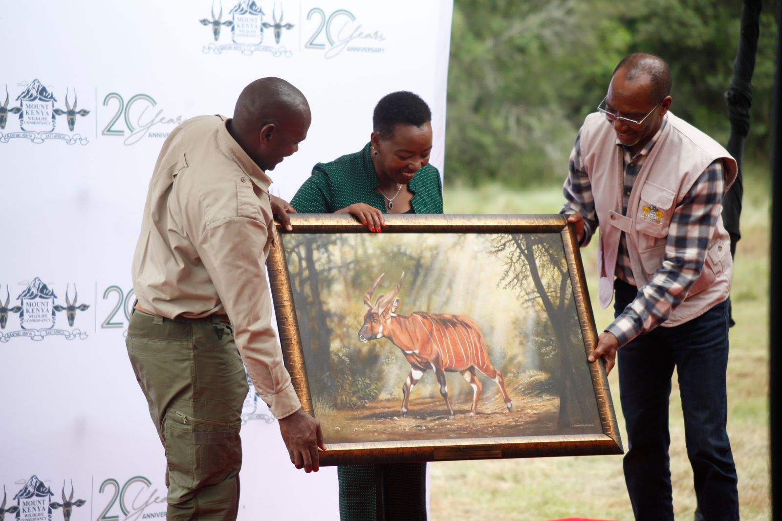 Mount Kenya Wildlife Conservancy Releases 10 Adult Mountain Bongos into the Mawingu Sanctuary
